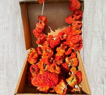 Dried Bell Pepper (52 Pieces) NEW CROP